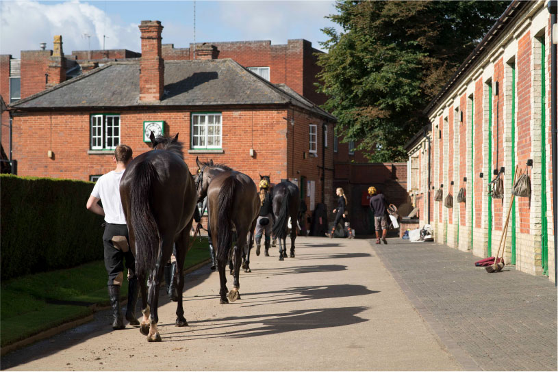 Heath House Training Yard Newmarket