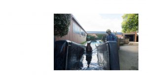 Horse Swimming Pool at Heath House Stables