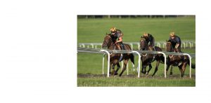 Heath House Stables Training Grounds access