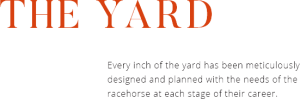 Training Yard Newmarket